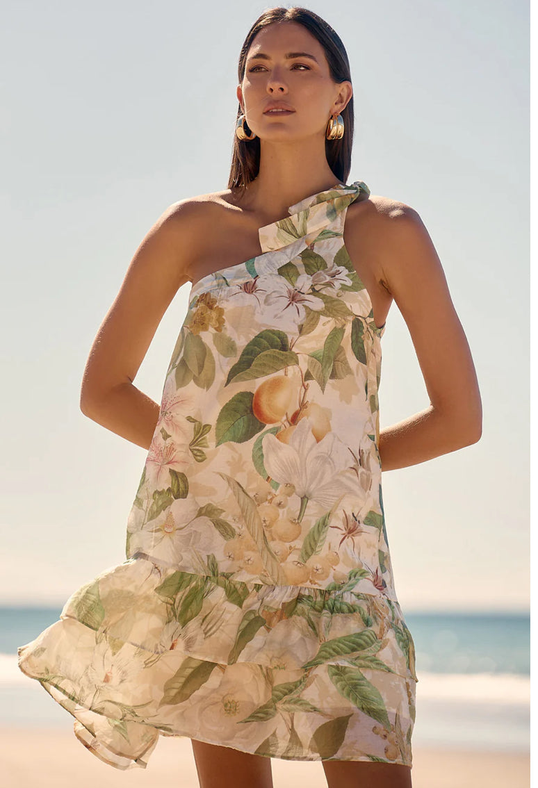 Adorne Ladies Adelaide Print Short Dress