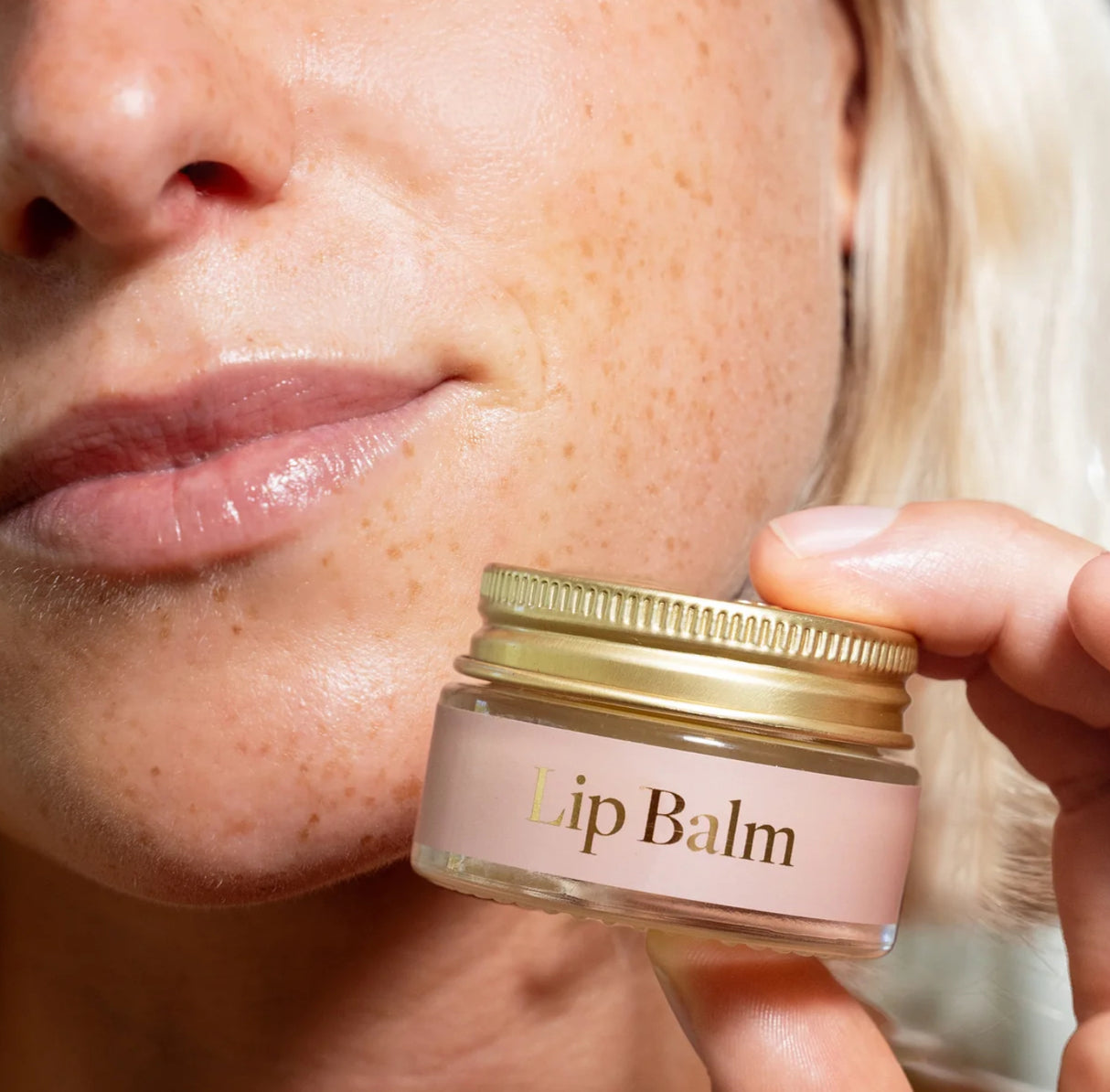 Stray Willow Silk Lips Care Kit