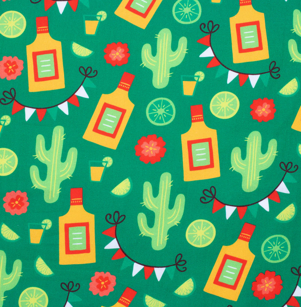 Austin Long Sleeve Full Button WorkShirt Green Cactus