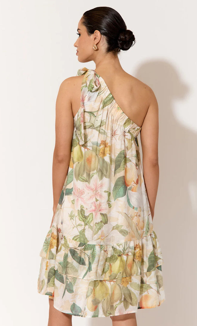Adorne Ladies Adelaide Print Short Dress