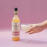 Mr Consistent Cocktail Mixers