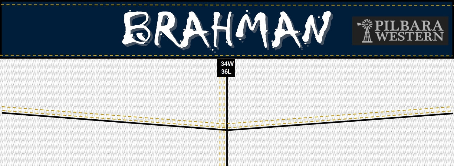 Pilbara Mens Western Brahman Slim Jeans