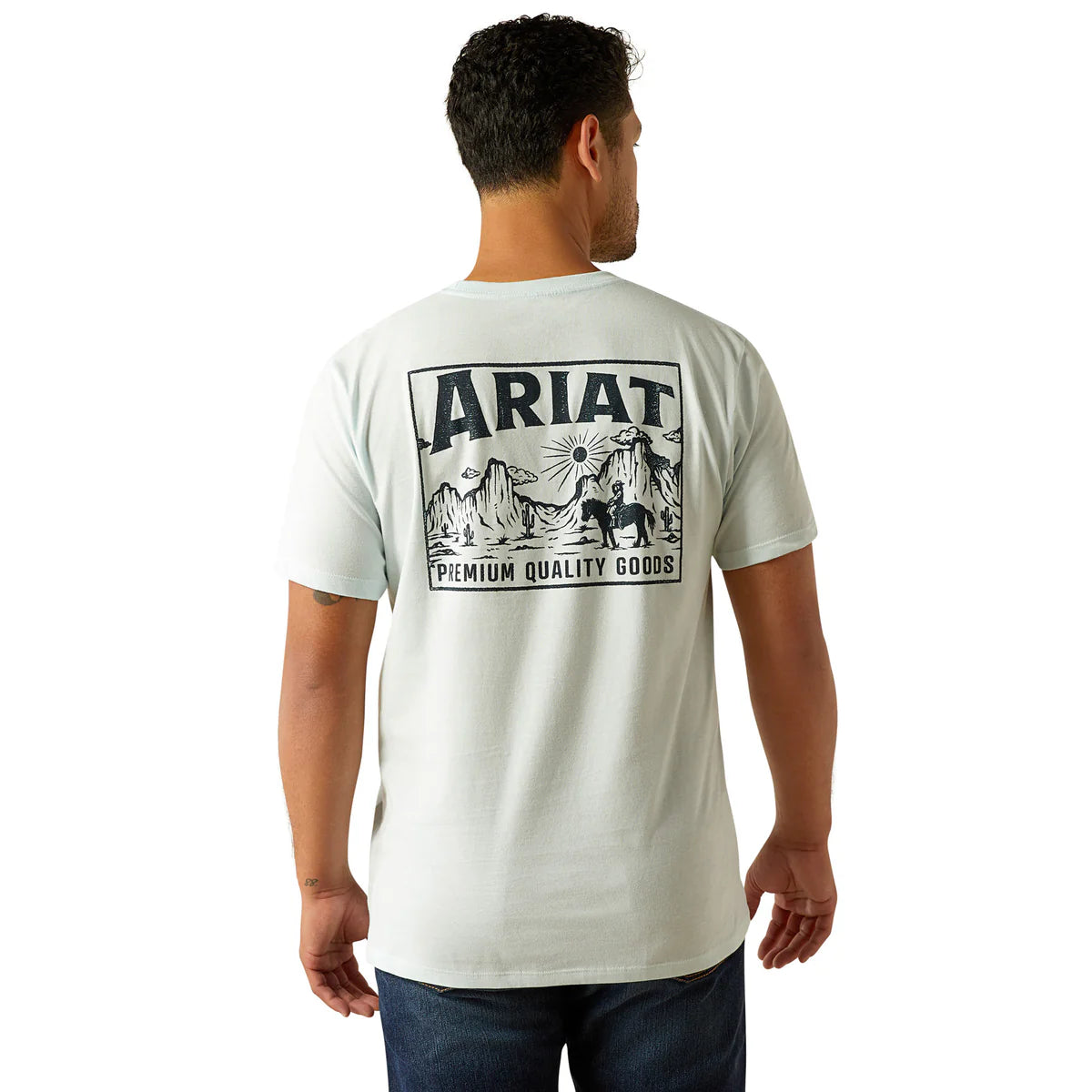 Ariat Mens Echo Valley T-Shirt - Quiet Tide