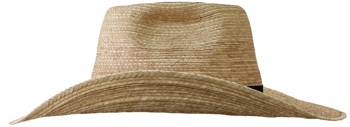 Sunbody Oak Boxtop 4" brim