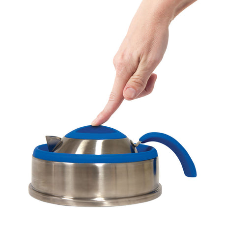 Companion Pop Up Stainless Steel Compact Kettle 2L
