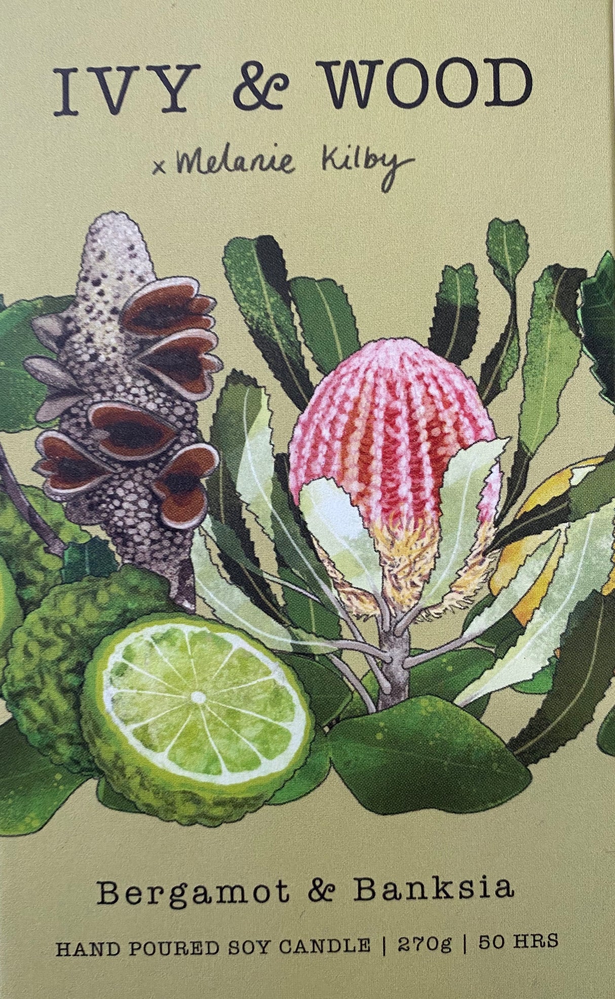 Ivy & Wood Mason Jar Soy Candles