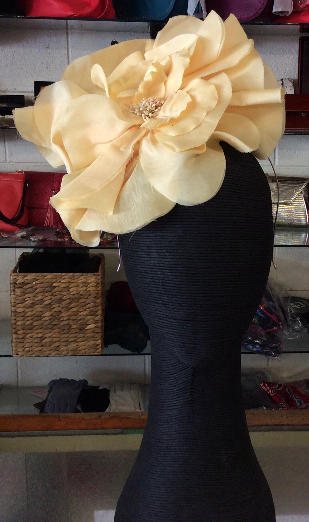 Morgan & Taylor Cindy Fascinator