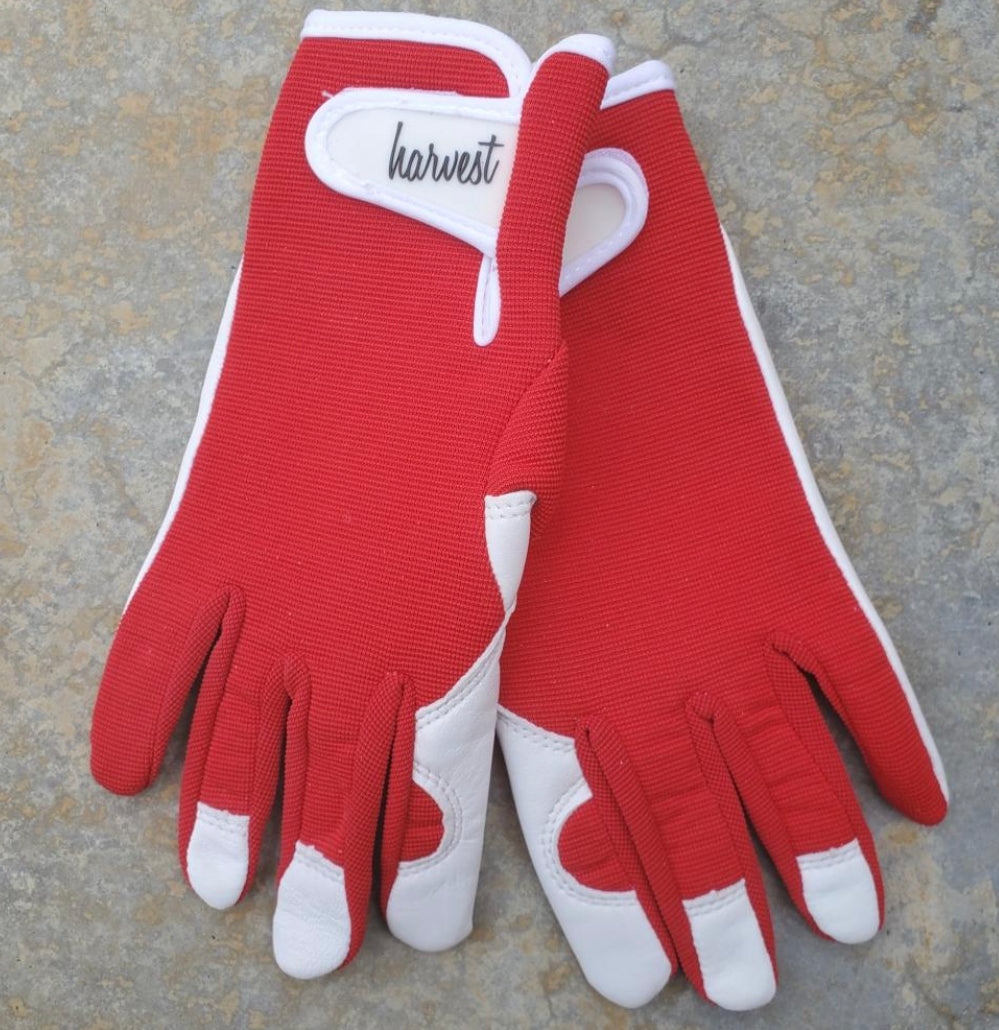 Annabel Trends - Sprout Gardening Gloves