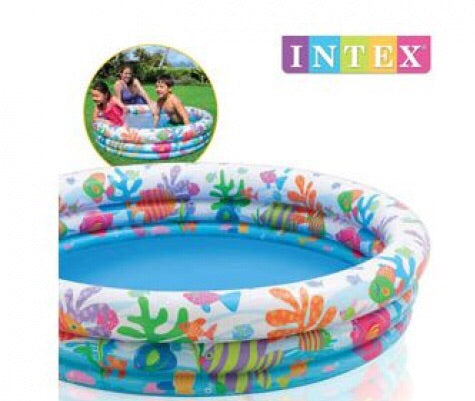 Intex Fishbowl Pool