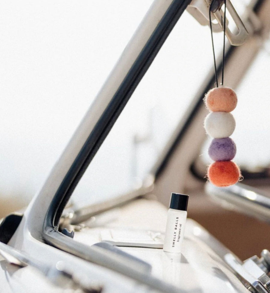 Smelly Balls Reusable Air Freshener