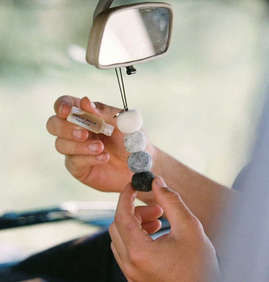 Smelly Balls Reusable Air Freshener