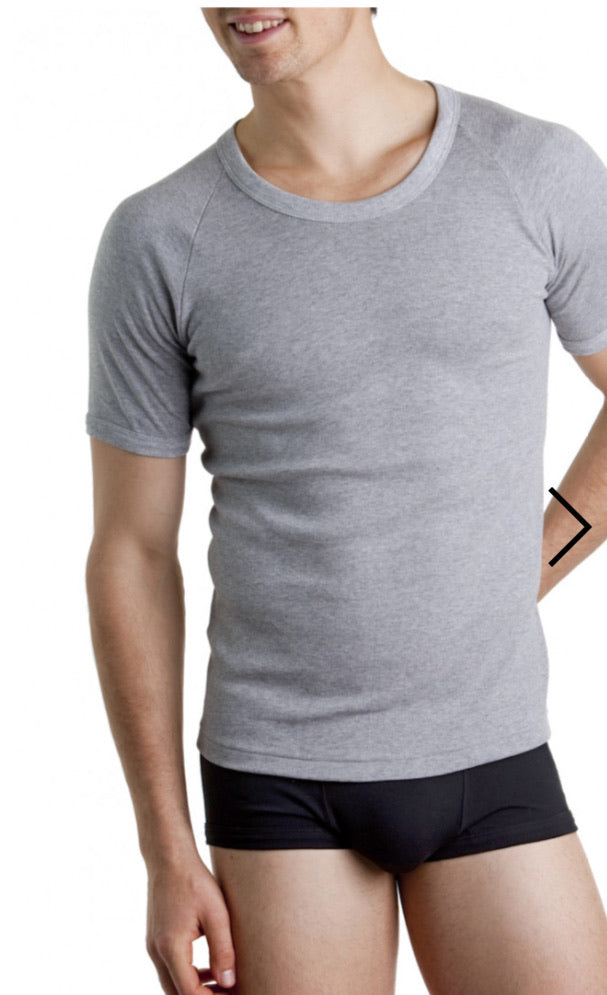 Bonds Mens Raglan Crew Neck tee Grey