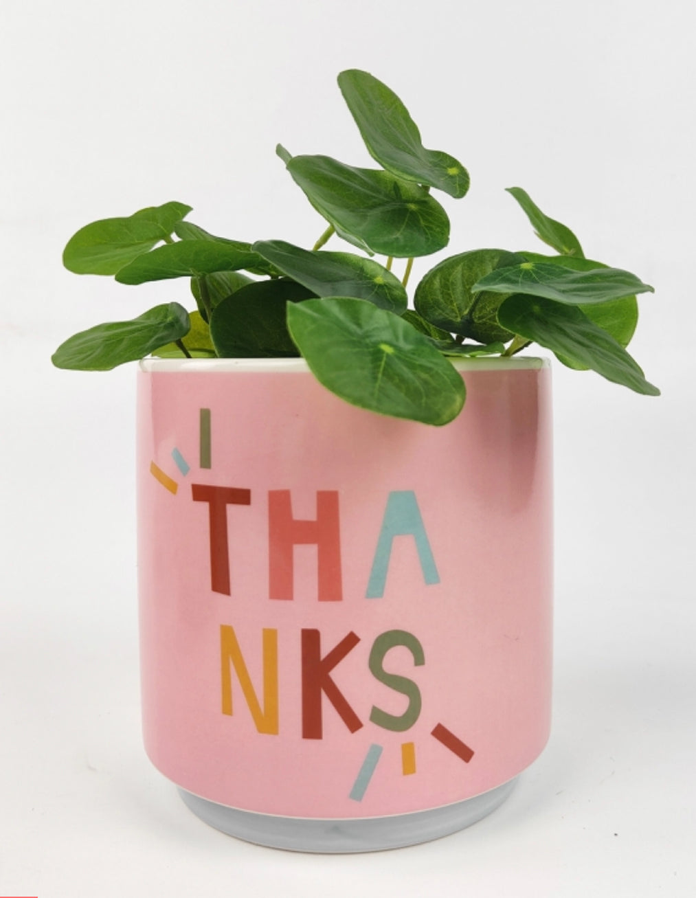 Urban Products Thanks Planter