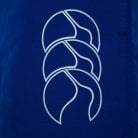 Canterbury Ladies Tactic Short Mazarine Blue