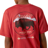 Ariat Boys Patriot Buffalo Coin T-Shirt - Brick Red - 10062407