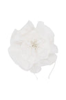 Morgan & Taylor Cindy Fascinator