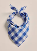 S Kidman Parachilna Bandana