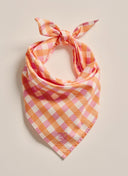 S Kidman Parachilna Bandana