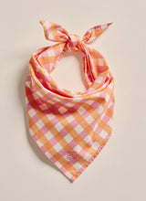 S Kidman Parachilna Bandana