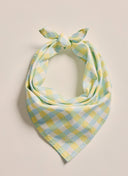 S Kidman Parachilna Bandana