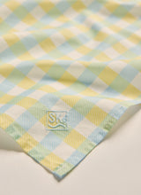 S Kidman Parachilna Bandana