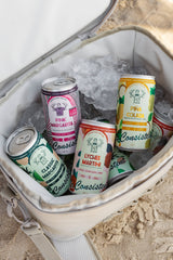 Mr Consistent Margarita 250 ml 4pack Cans