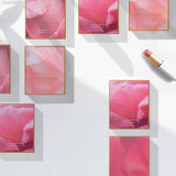 Lux Beautifood Lip Nourish Trio Buttery Pinks