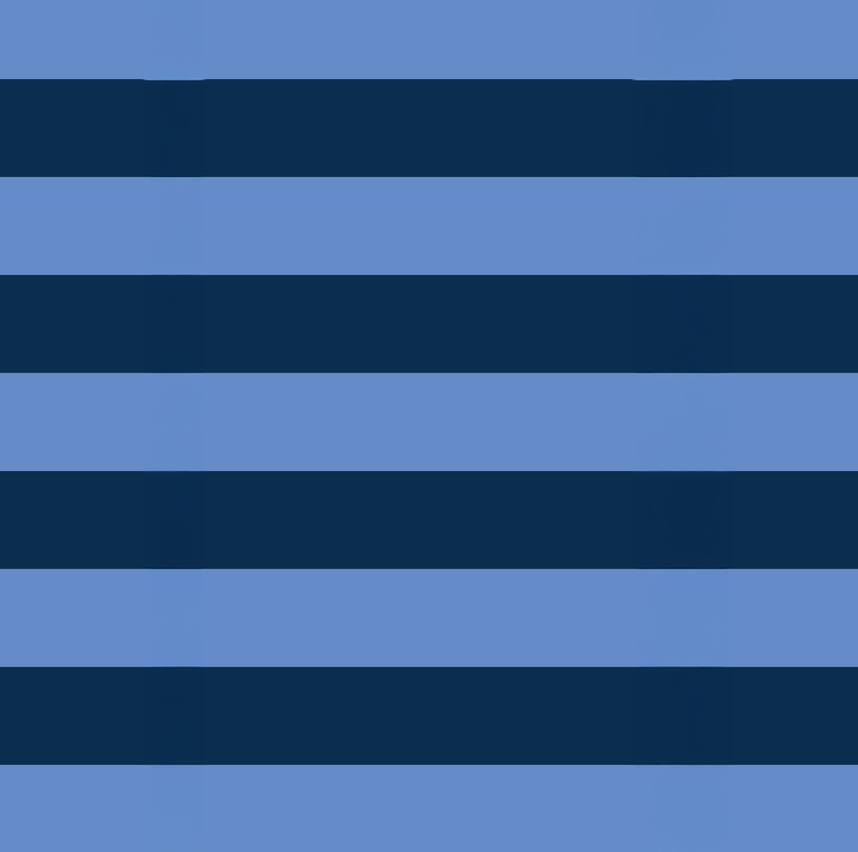 Project Ten Pty Ltd - Large Insulated Tote – Blue Stripe