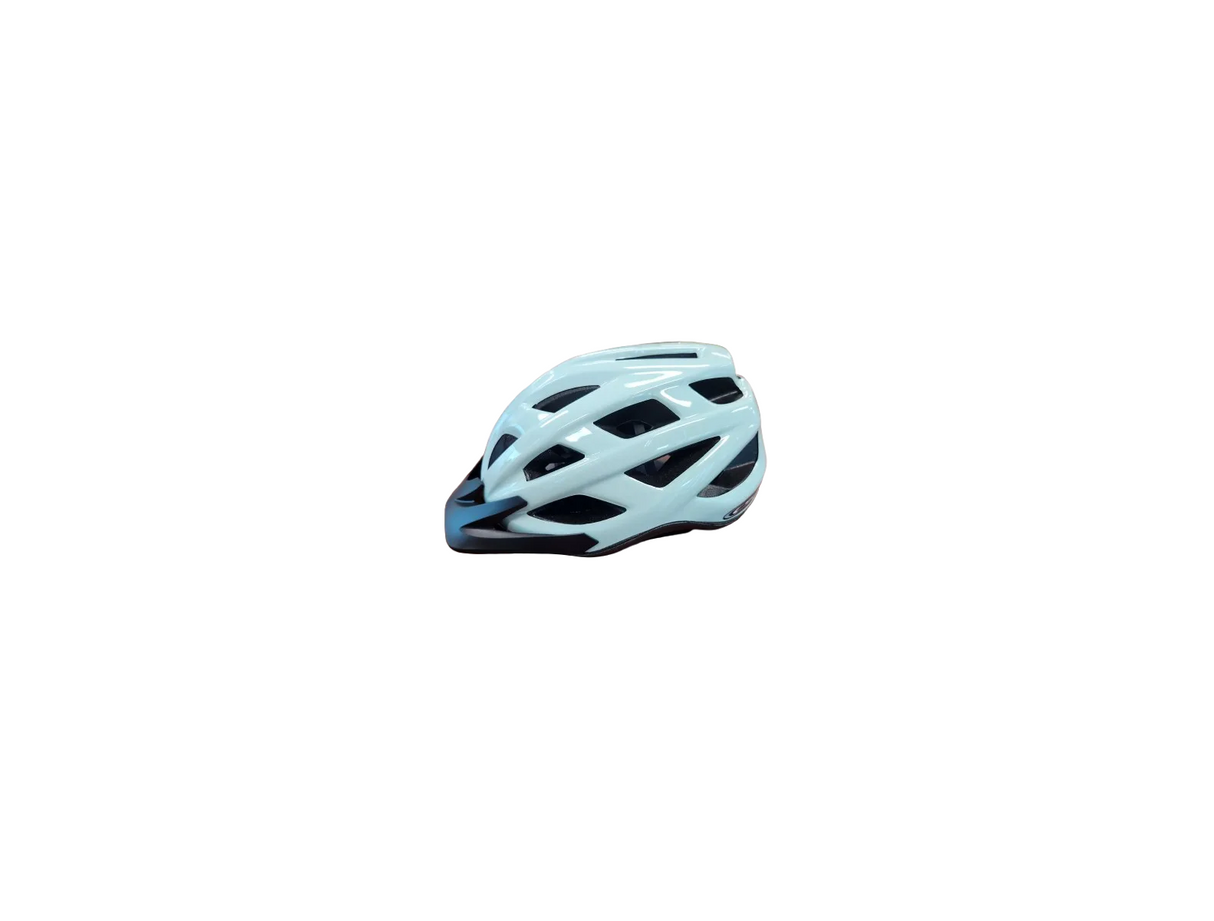 Chaser Bike Helmet