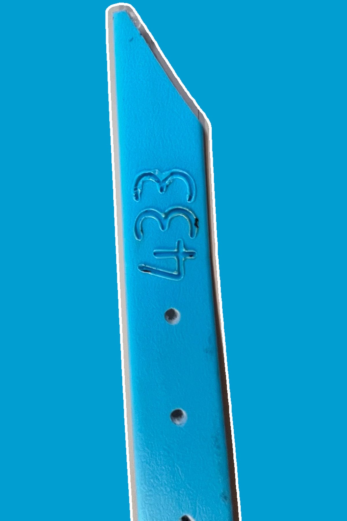 Plain Zax Strap
