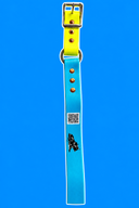 Hobble Zax Strap