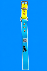 Hobble Zax Strap