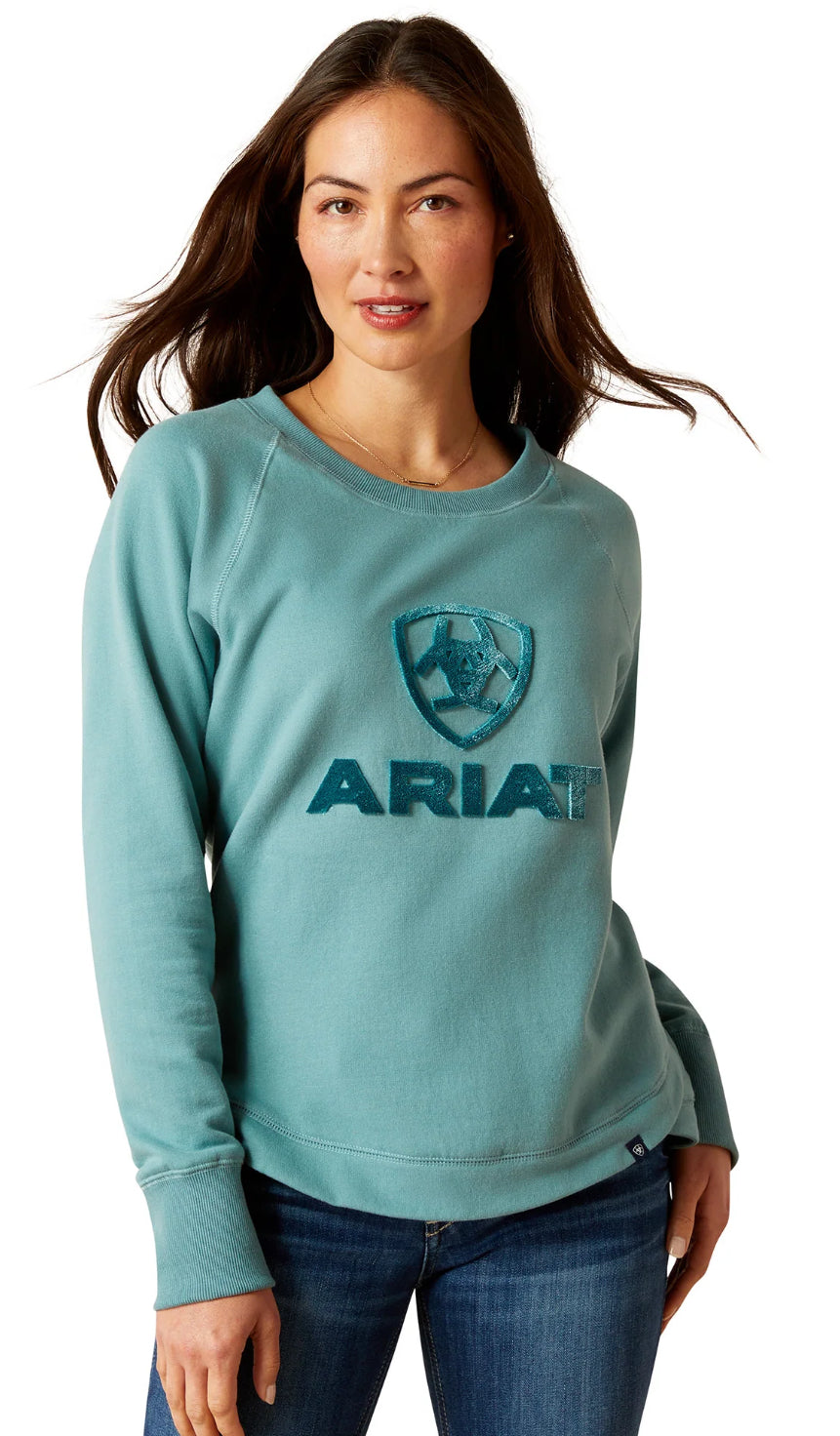 Ariat Ladies Benicia SweatShirt in Arctic 10046159