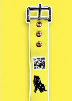 Plain Zax Strap