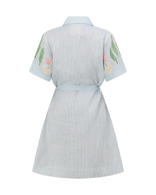 SMWR Swan Lake Mini Shirt Dress