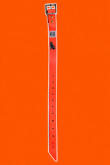 Plain Zax Strap