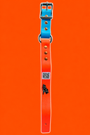 Hobble Zax Strap