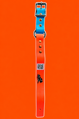 Hobble Zax Strap