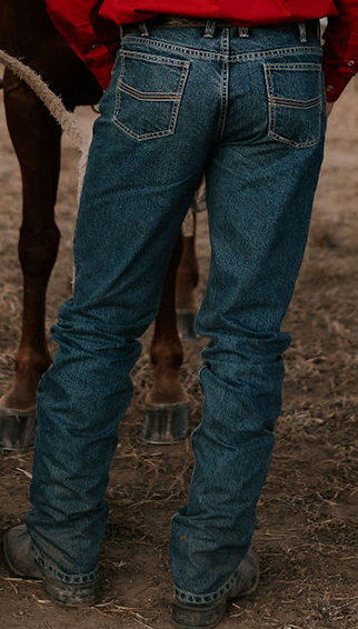 Pilbara Mens Western Brahman Slim Jeans