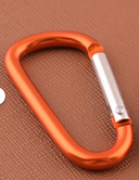 Elemental Mini Carabiner Single
