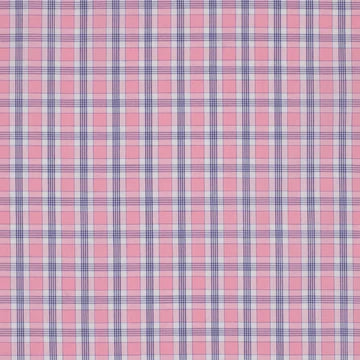 Just Country Ladies Georgie Shirt in Light Pink & Navy Plaid