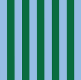 Project Ten Green Blue Stripe Overnight Bag