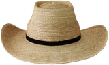 Sunbody Oak Boxtop 4" brim