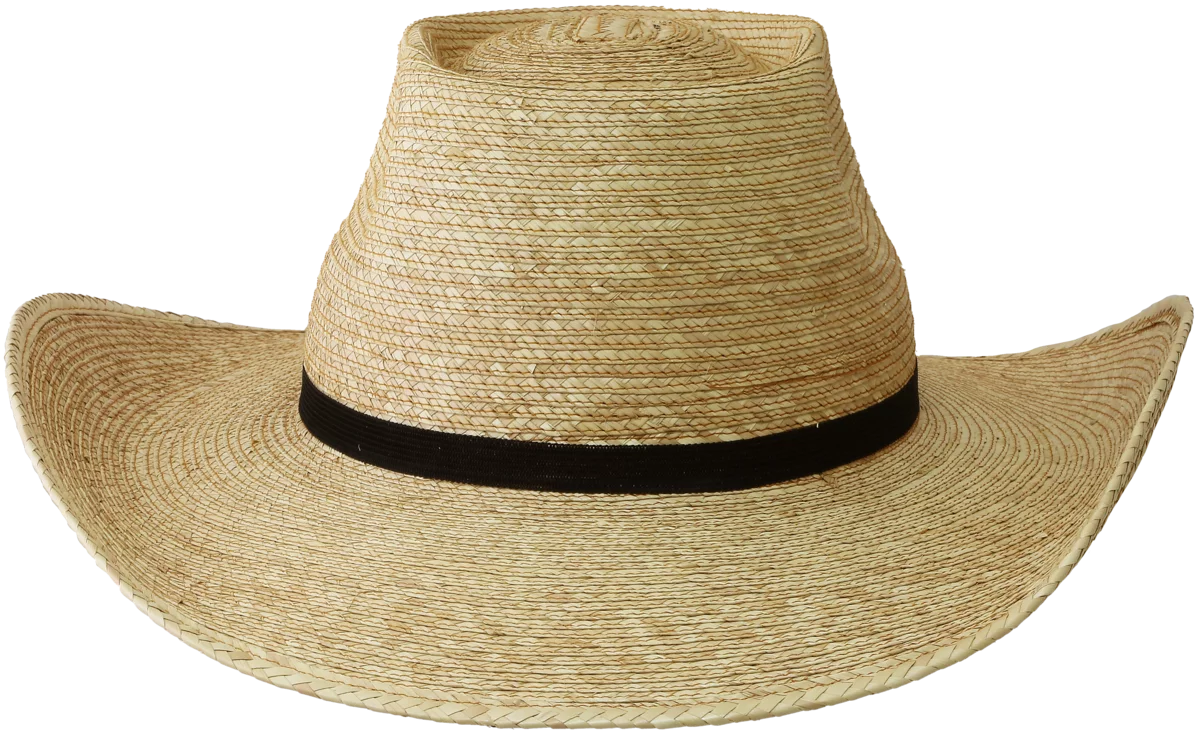 Sunbody Oak Boxtop 4" brim