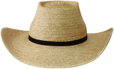 Sunbody Oak Boxtop 4" brim