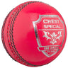 Gray Nicolls Crest Special 2 piece leather balls 156Gram