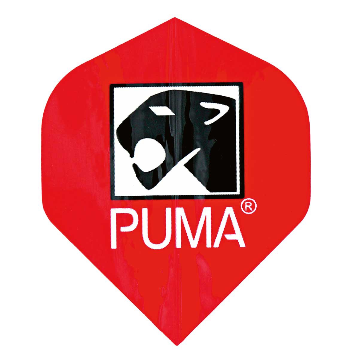 Puma Darts Poly Kite flight