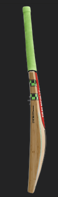 Gray Nicolls Velocity XBlade cricket bat SH