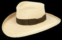 Sunbody Plantation Crease Palm leaf hat  4" brim